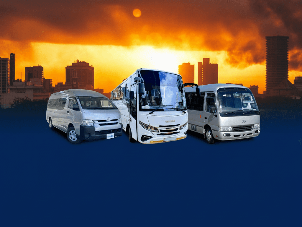 Safari & Tours